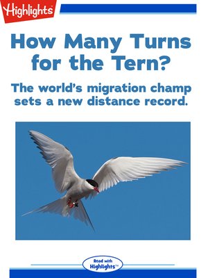 cover image of How Many Turns for the Tern?